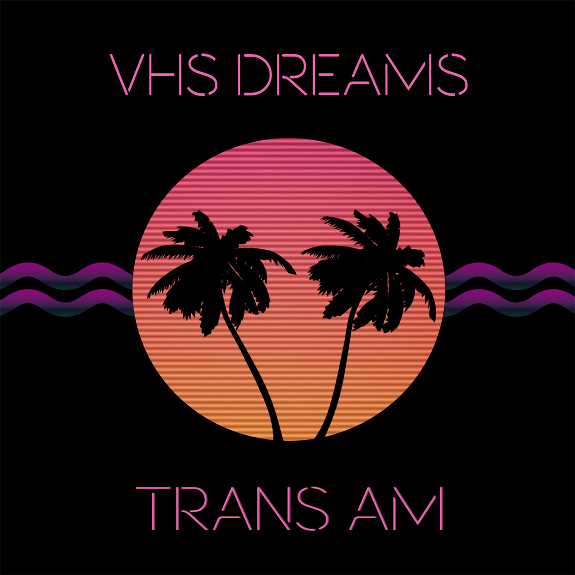 ミュージック dream reality [VHS] VINTAGE Dream Reality Audio Visual Stimulation VHS only