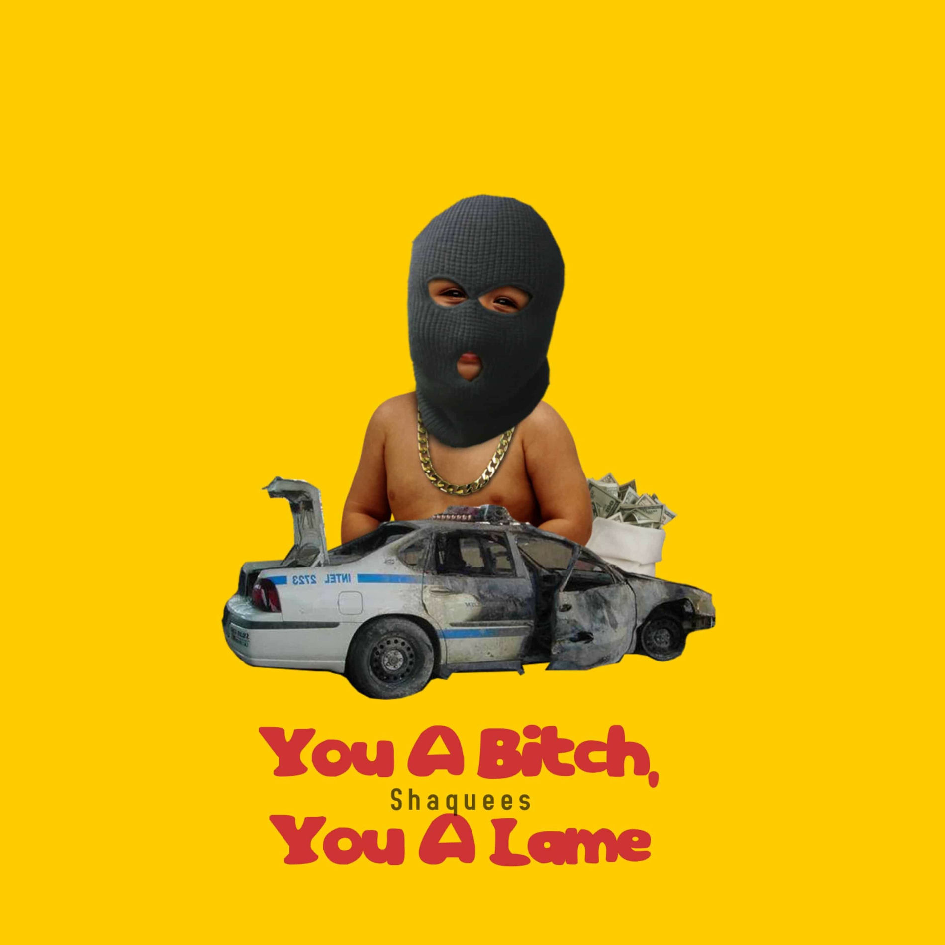 Album cover of You a Bitch, You a Lame