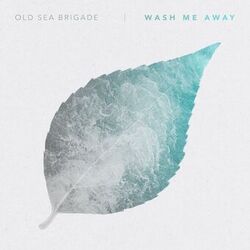 Cover of Wash Me Away