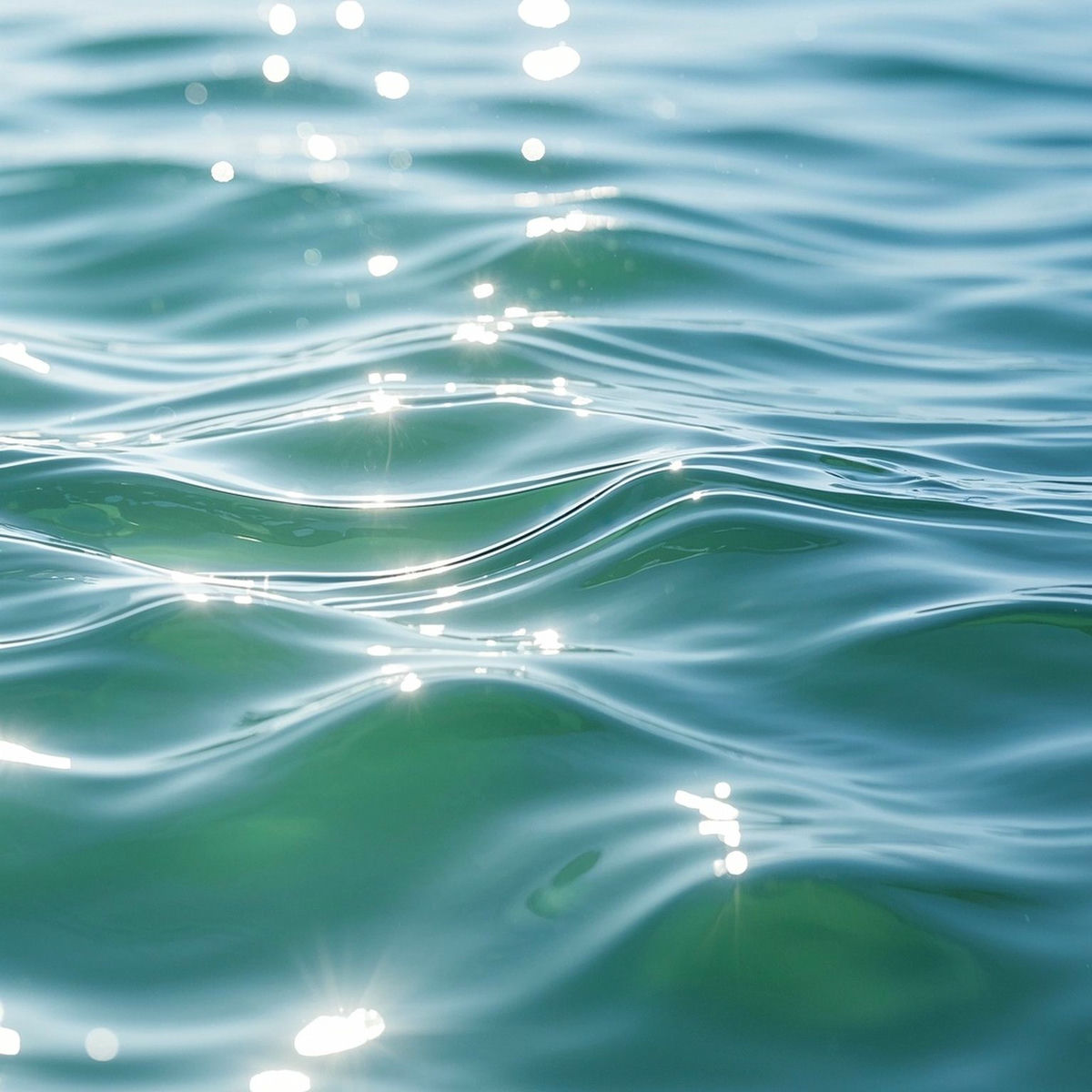 Album cover of stable flow