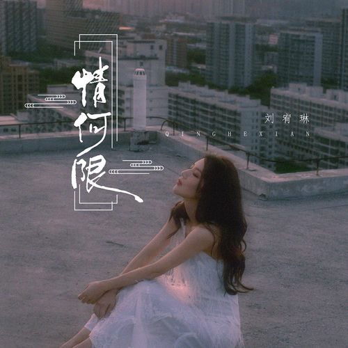 情何限
