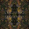 My Fantasy by Luciano album cover