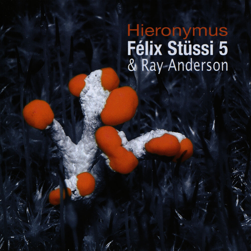 Picture of Hieronymus