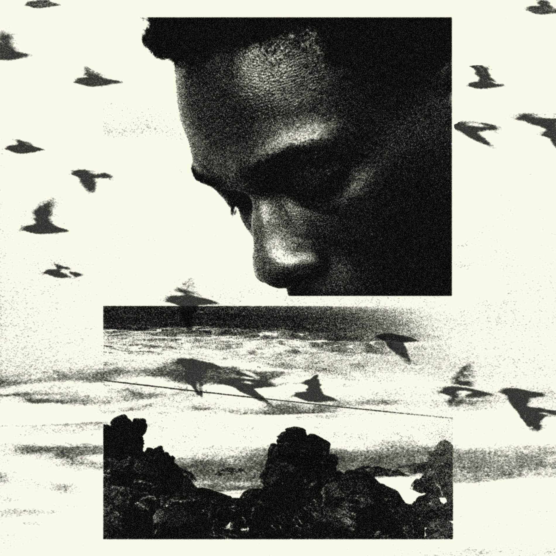 Album cover of La marée