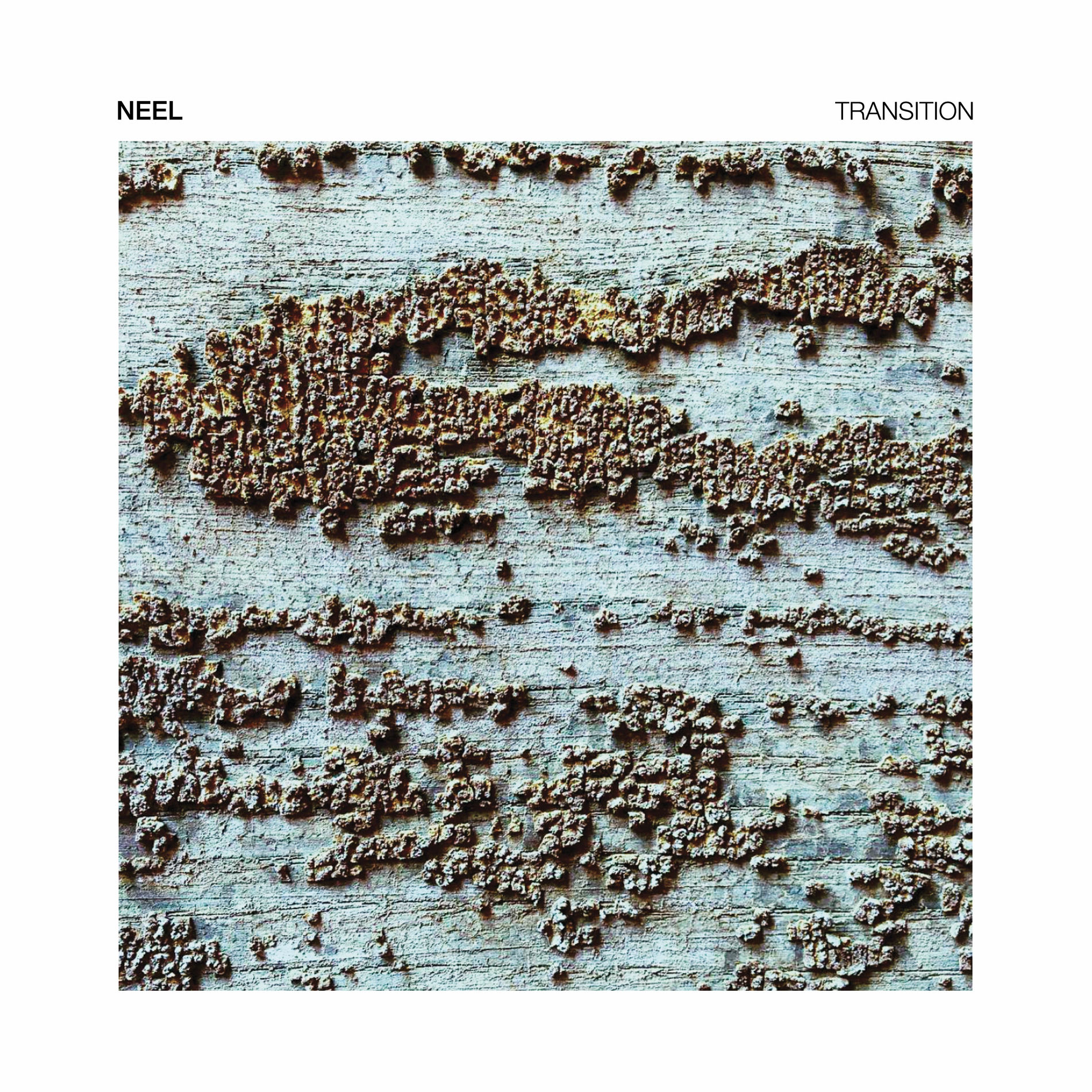 Album cover of Transition