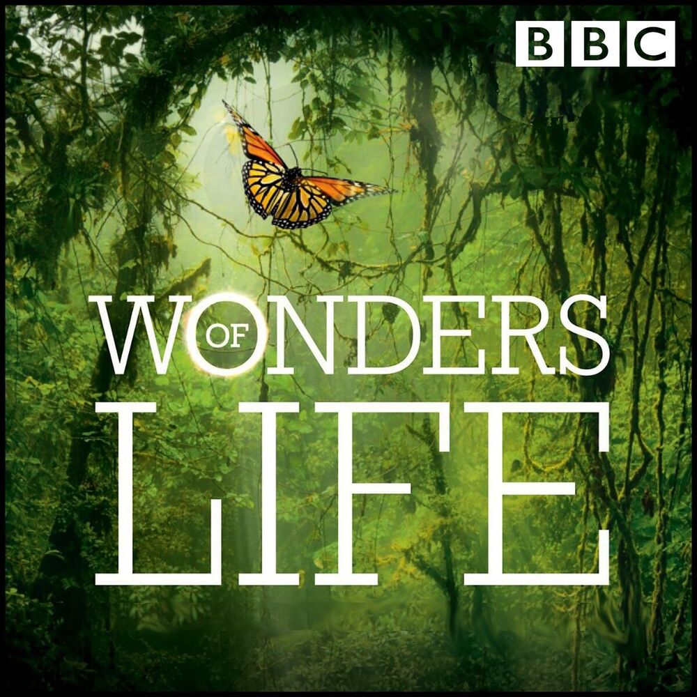 Picture of Wonders of Life (Original Television Soundtrack)