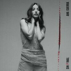 Cover of Sin Final