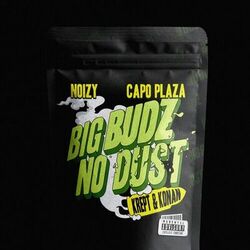 Cover of Big Budz No Dust