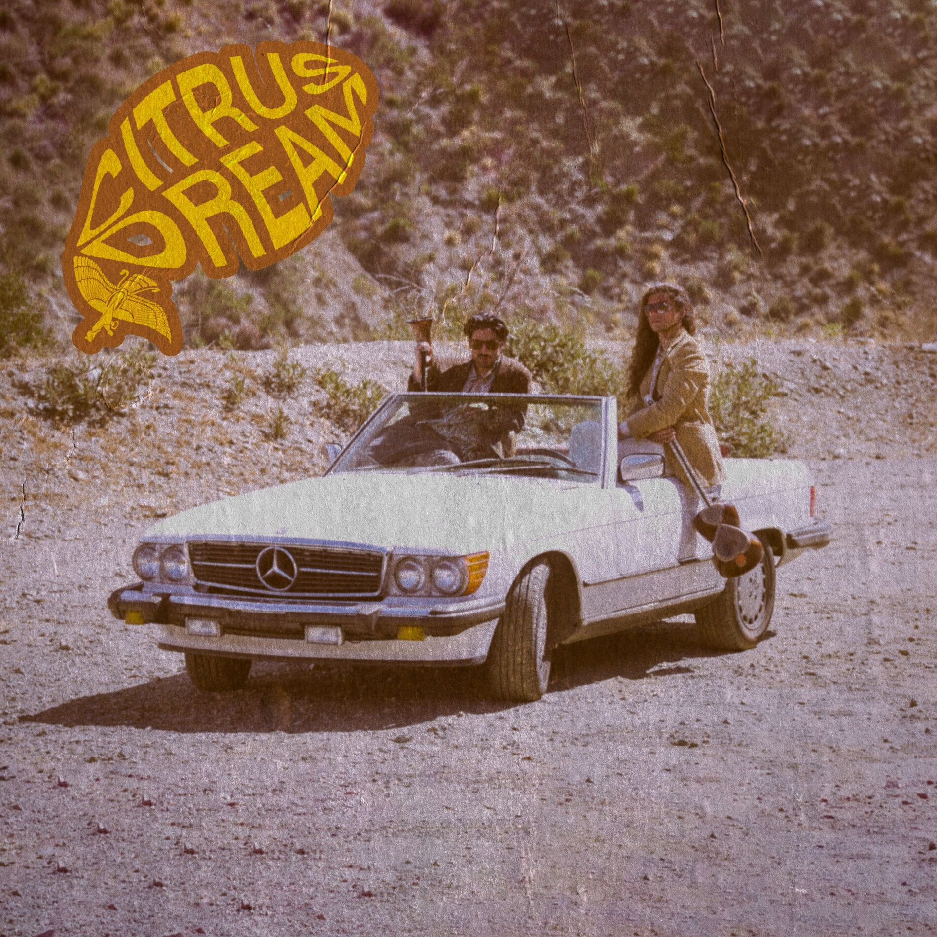 Album cover of Citrus Dream