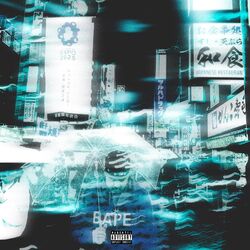 Cover of Shame on Me
