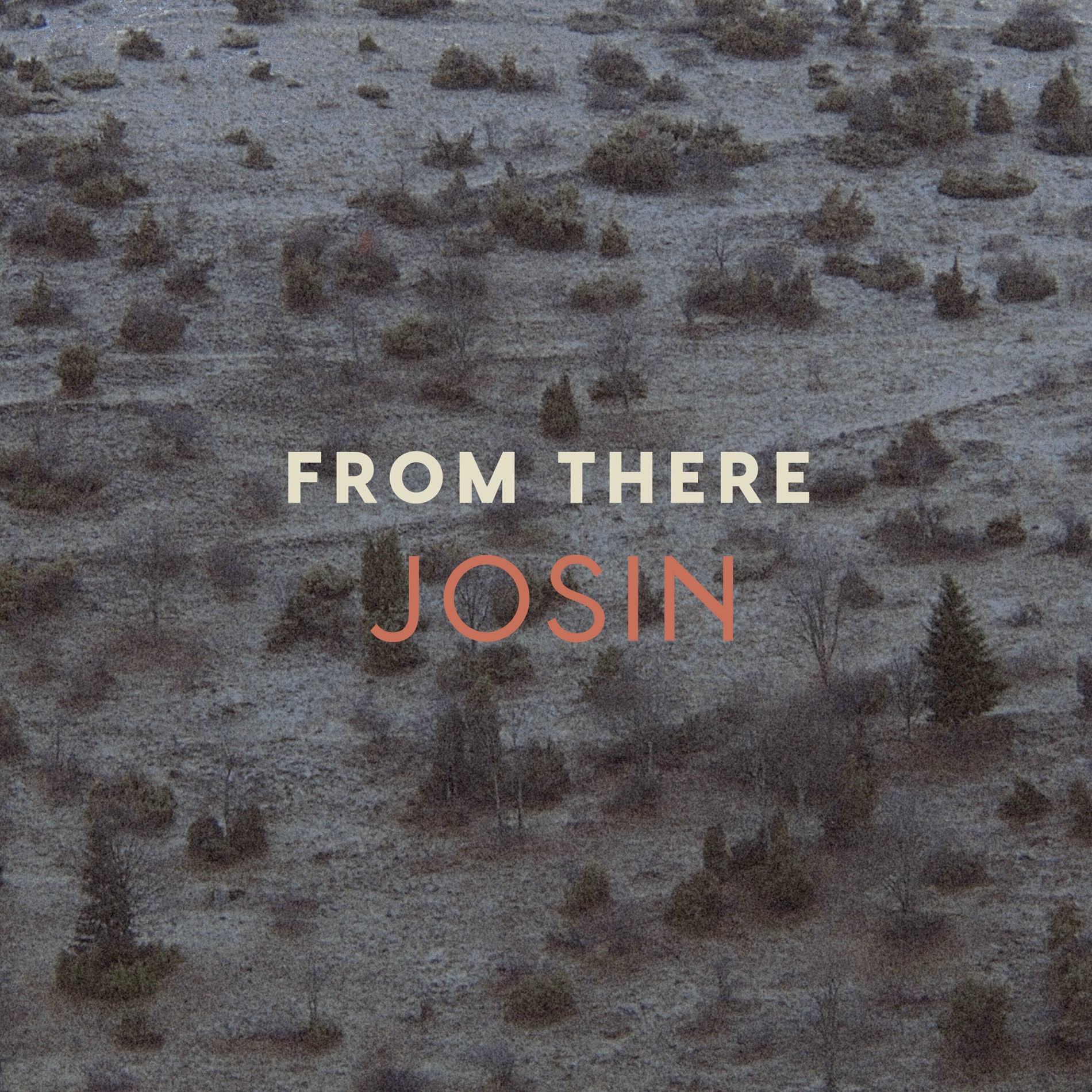 Album cover of From There