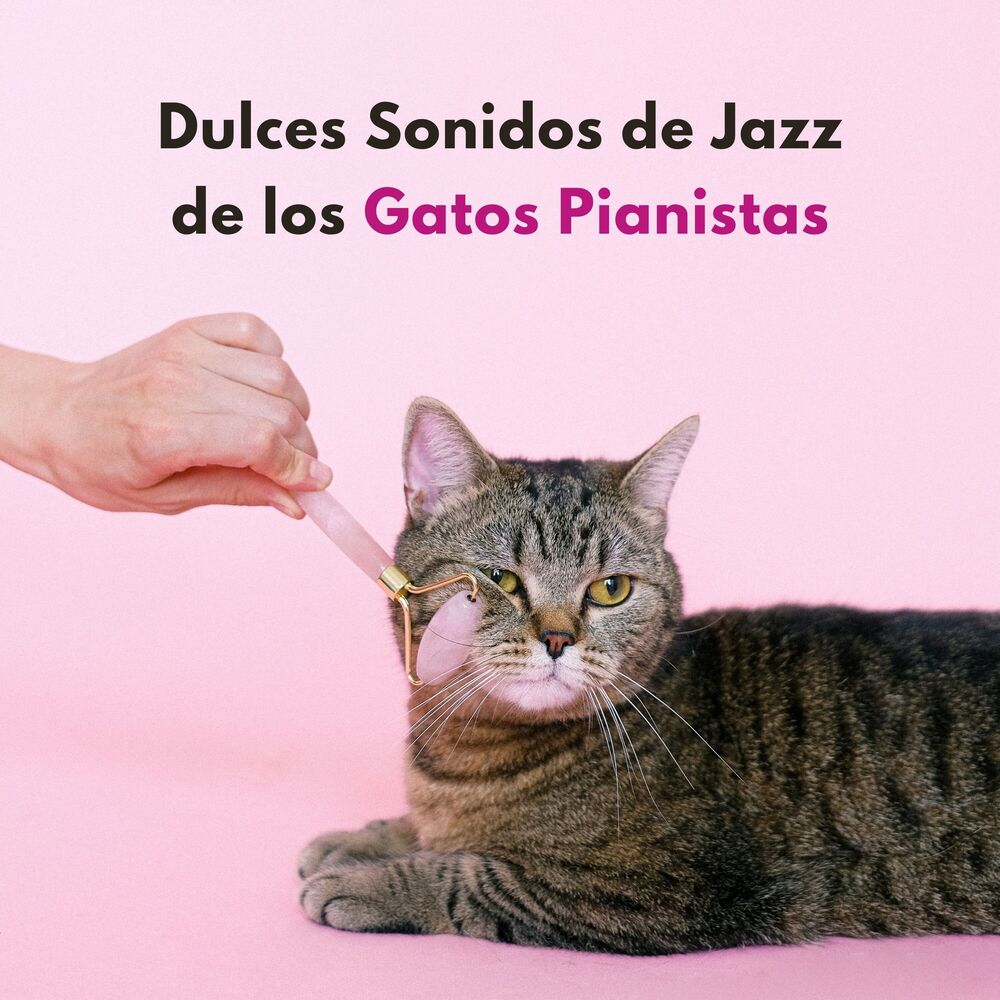 Picture of Dulces Sonidos De Jazz De Los Gatos Pianistas
