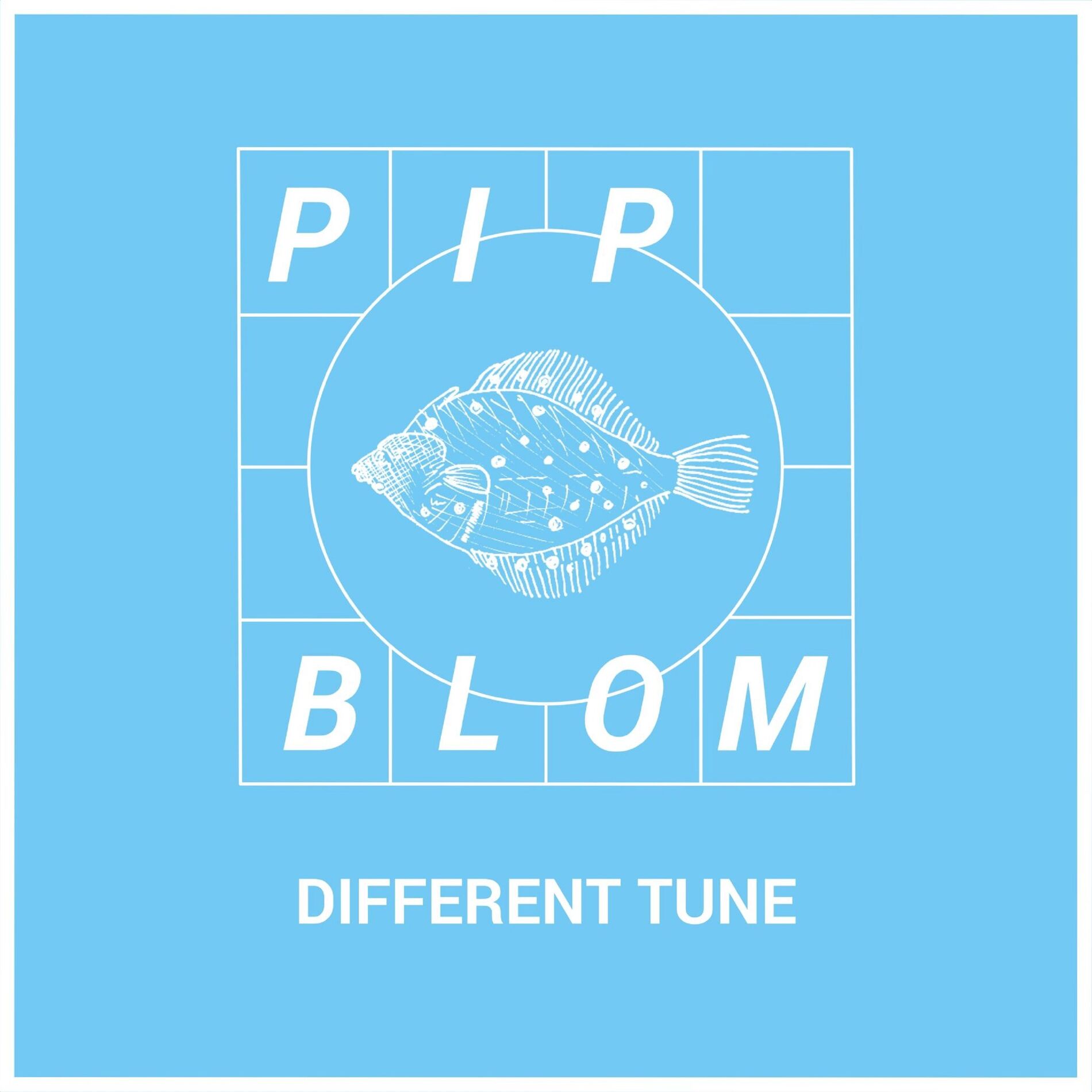 Album cover of Different Tune