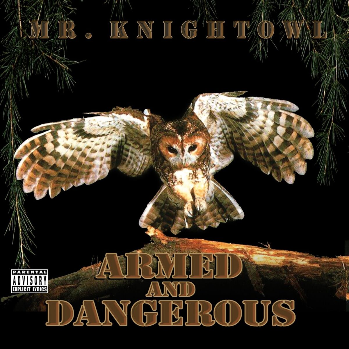 Album cover of Armed and Dangerous