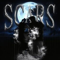 Cover of Scars