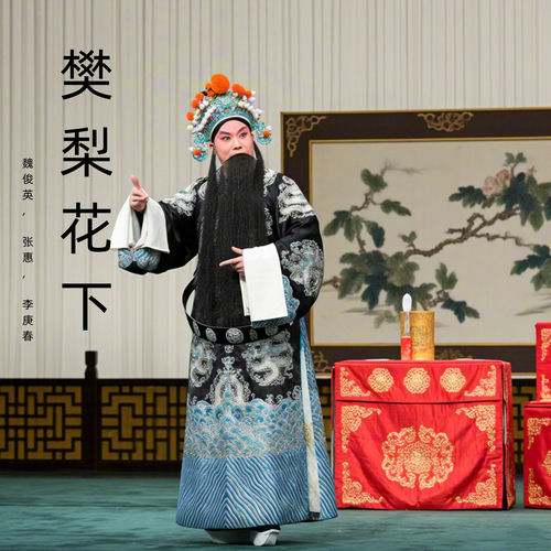 樊梨花下 (豫剧)