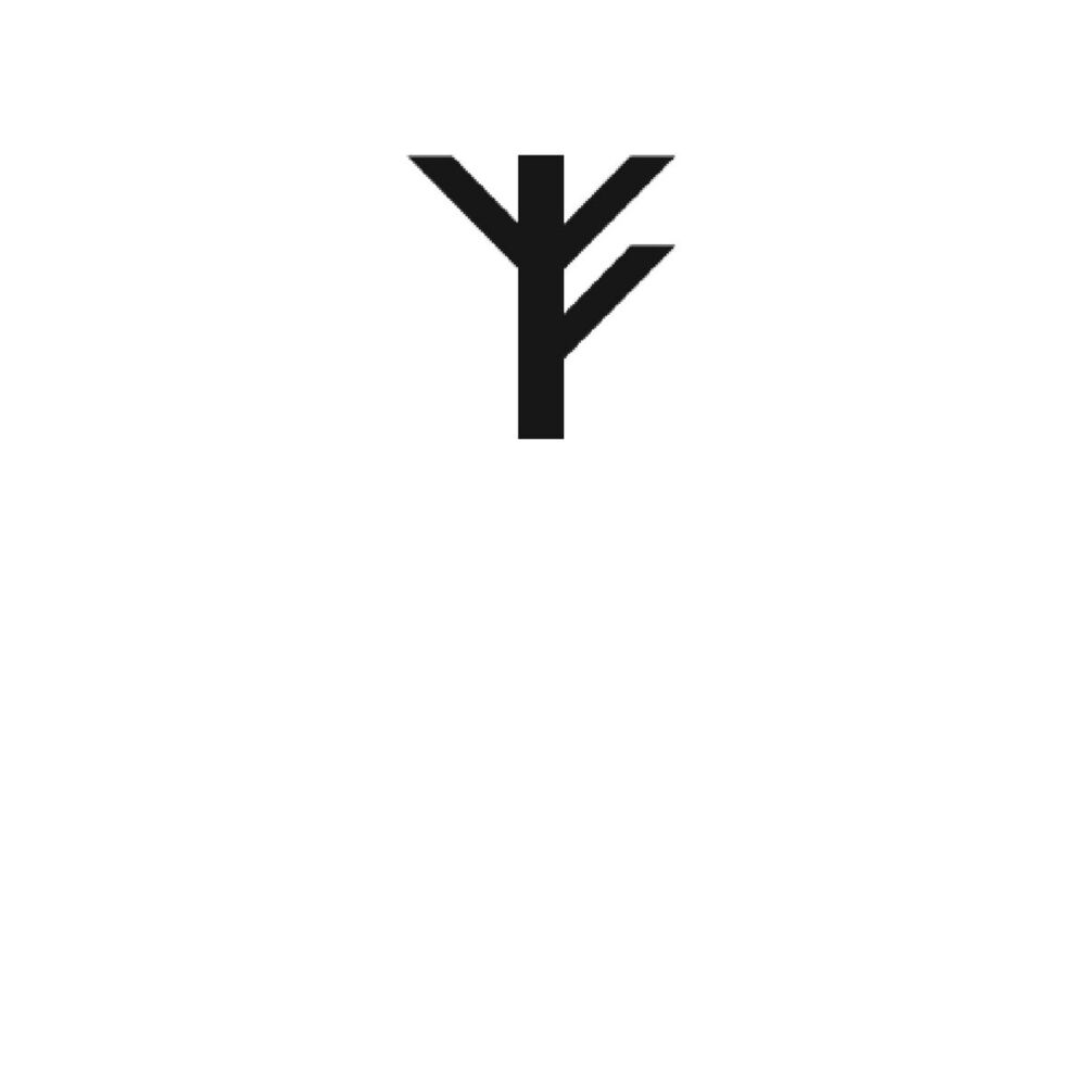 Picture of Phoenix