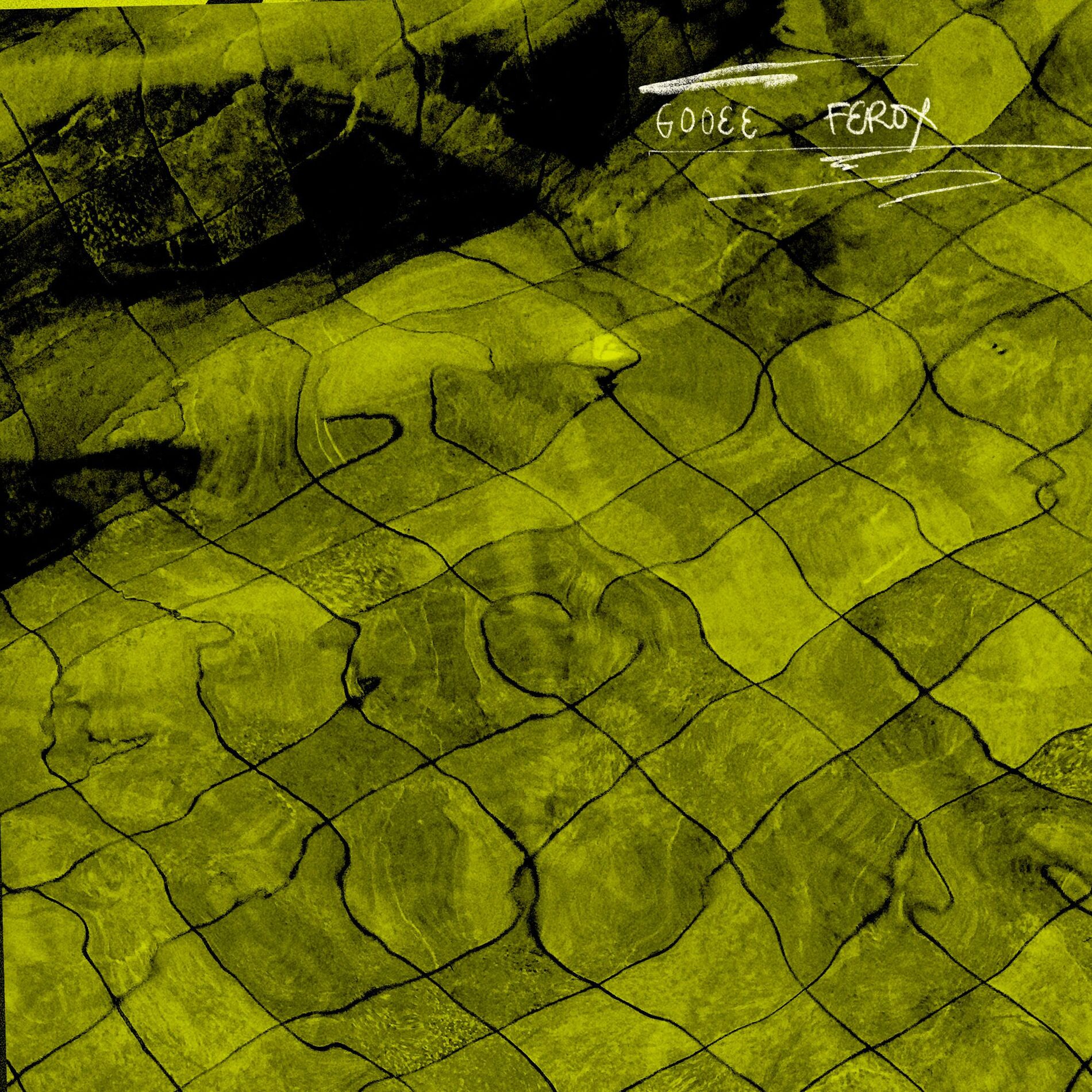 Album cover of Ferox