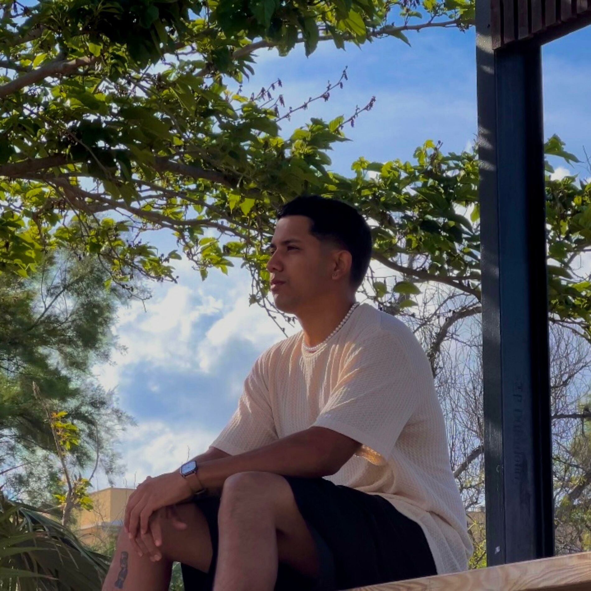 Album cover of VDM (feat. Pacific)