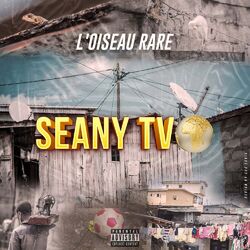 Cover of Seany Tv