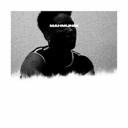 Cover of Sem Necessidade