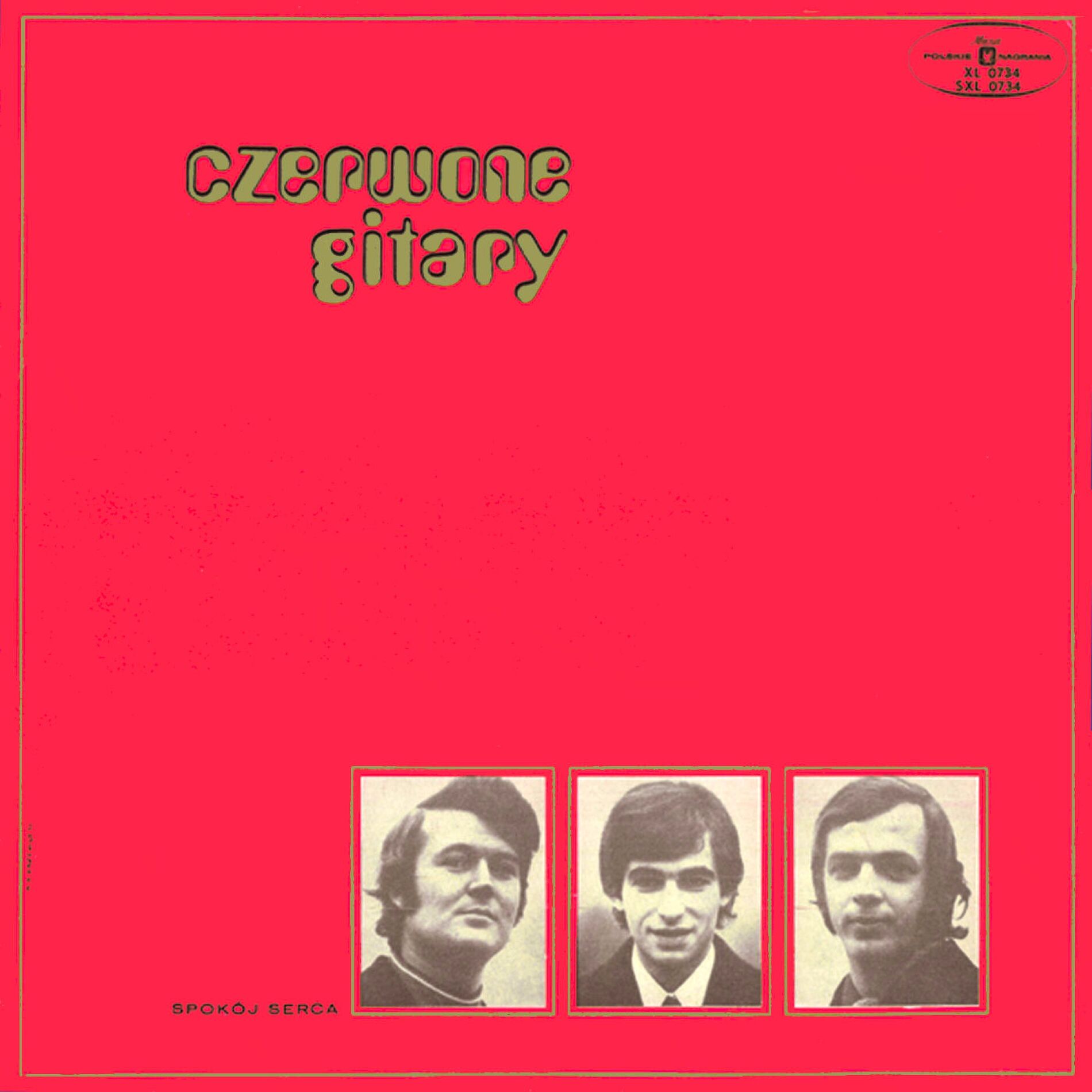 Album cover of Płoną góry, płoną lasy