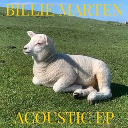 Cover of Acoustic