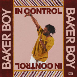 Cover of In Control