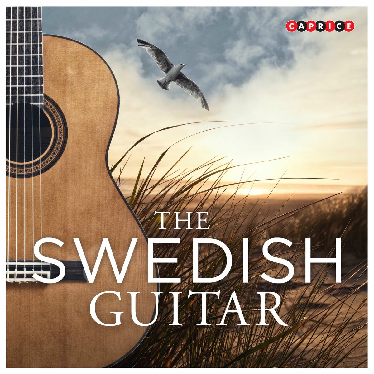 Album cover of The Swedish Guitar