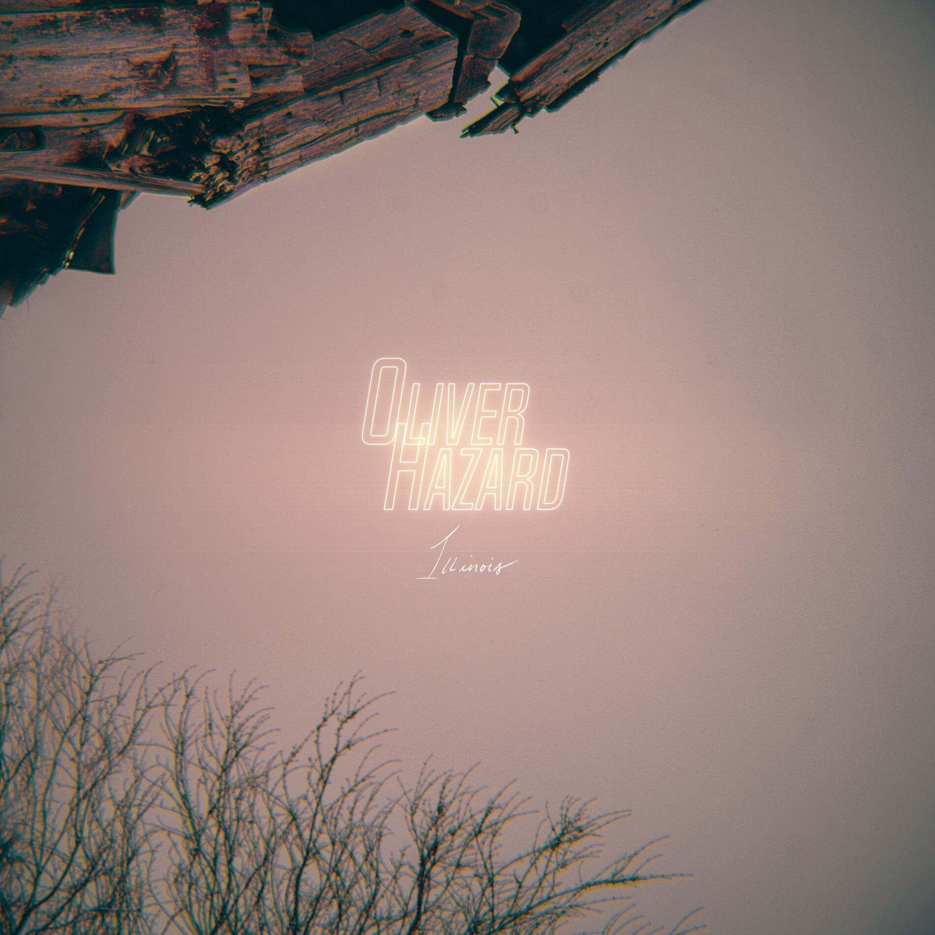 Album cover of Illinois