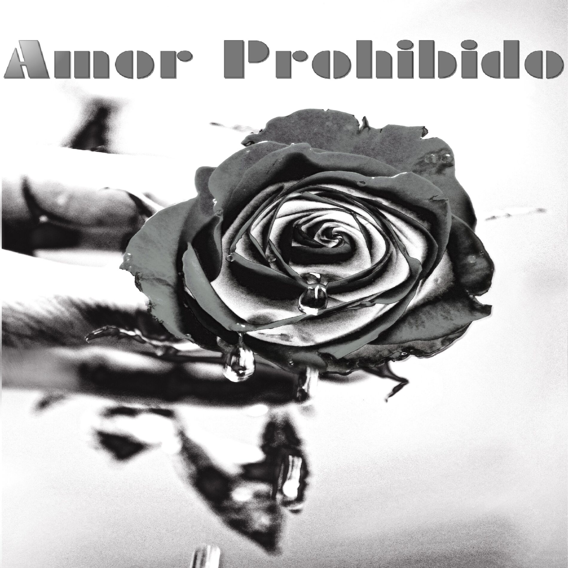 Album cover of Amor Prohibido