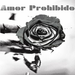 Cover of Amor Prohibido