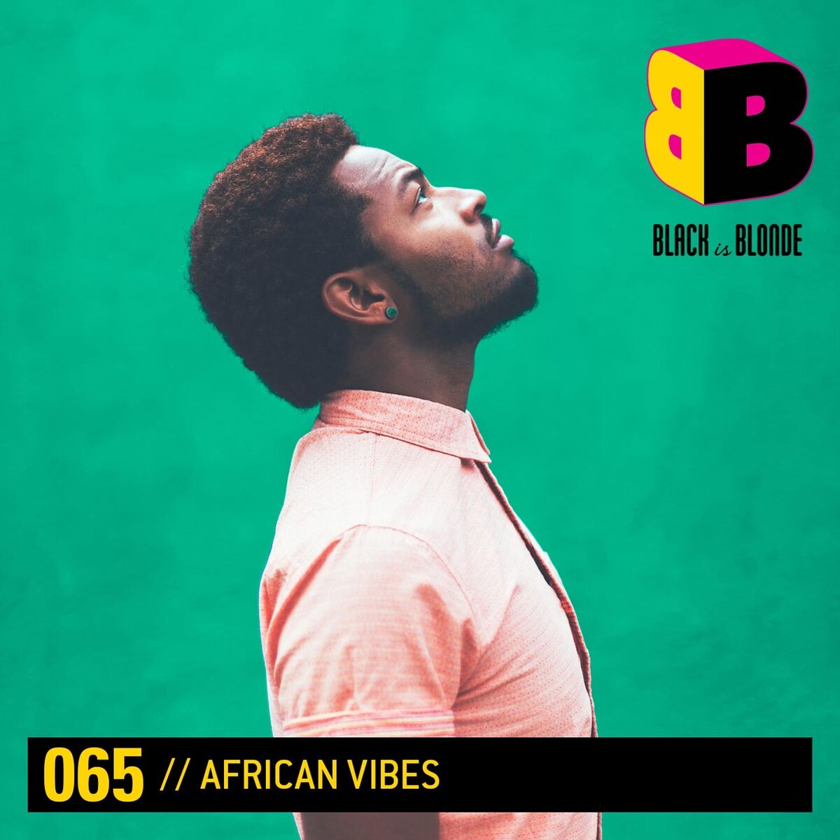 Album cover of African Vibes