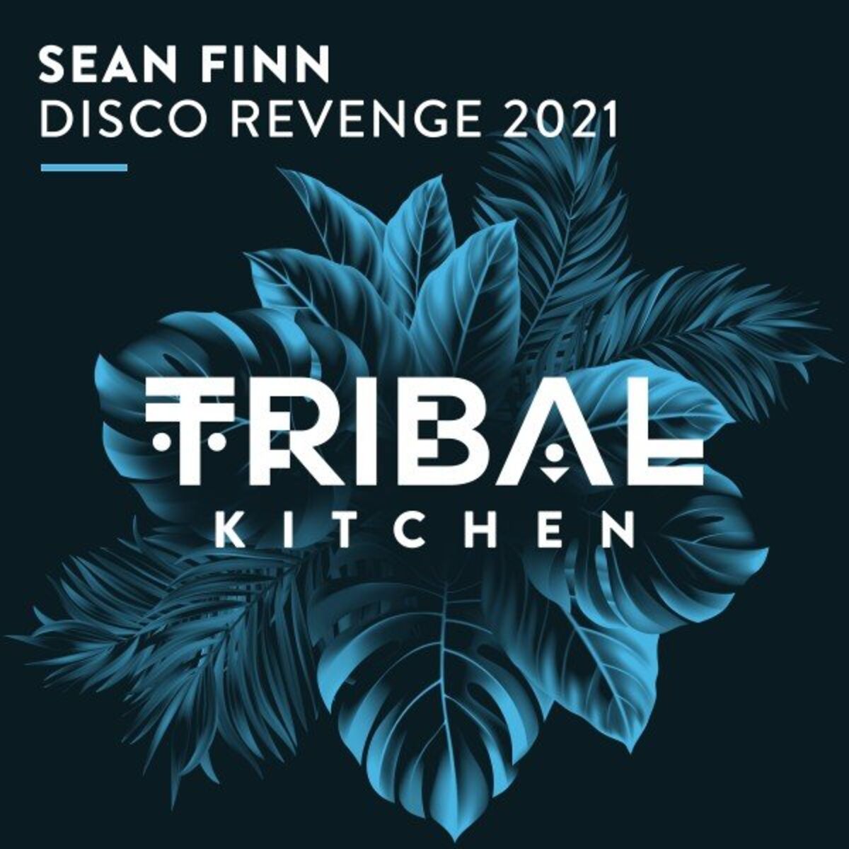 Album cover of Disco Revenge 2021