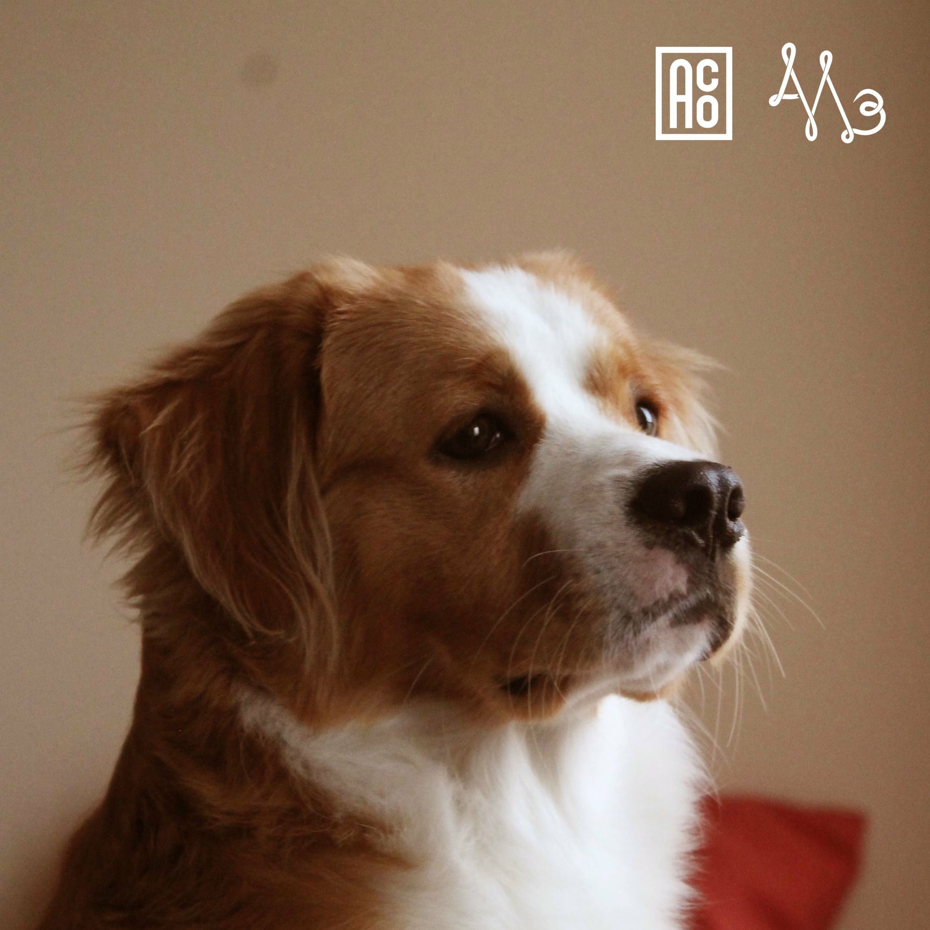 Album cover of DESPERTAR