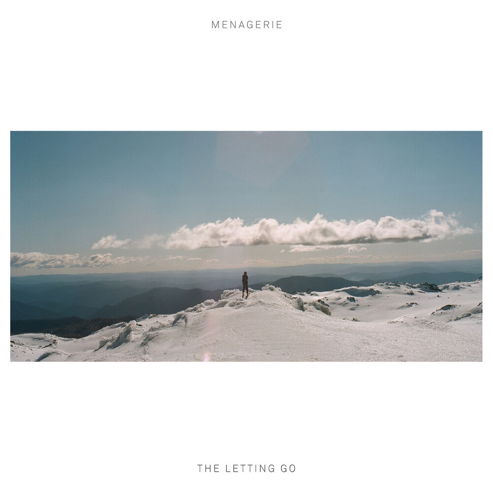 Picture of The Letting Go