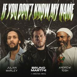 Cover of If You Don’t Know My Name