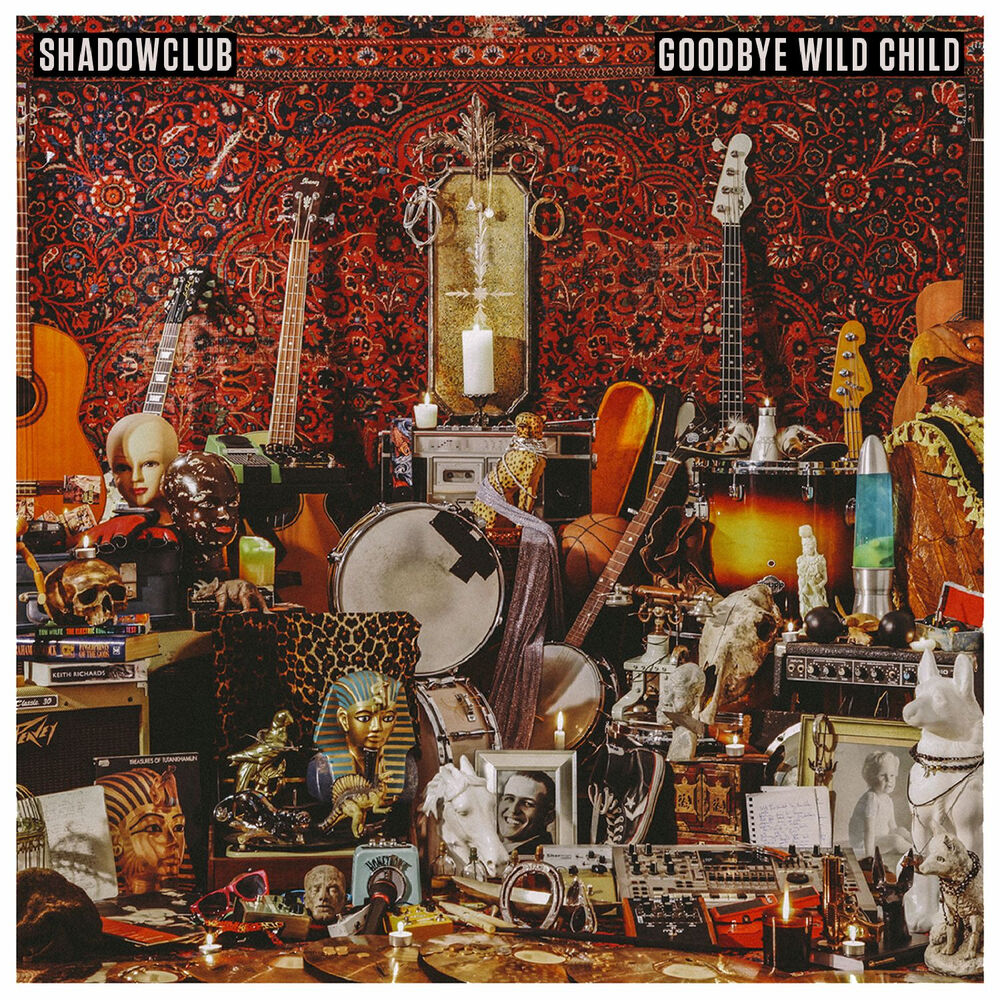 Picture of Goodbye Wild Child