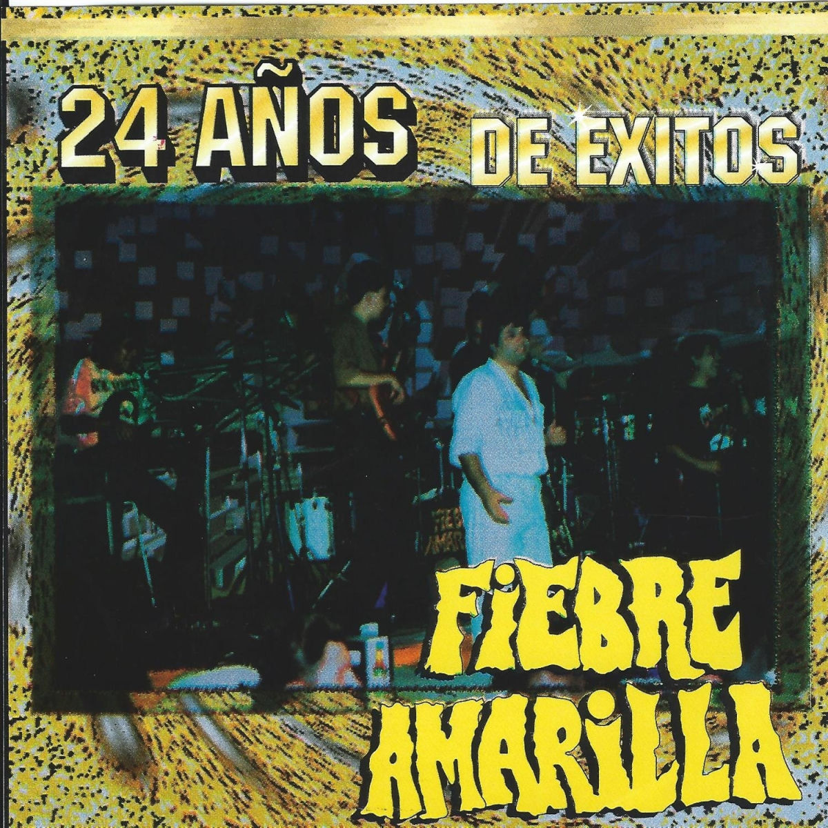 Album cover of 24 Anos de Exitos