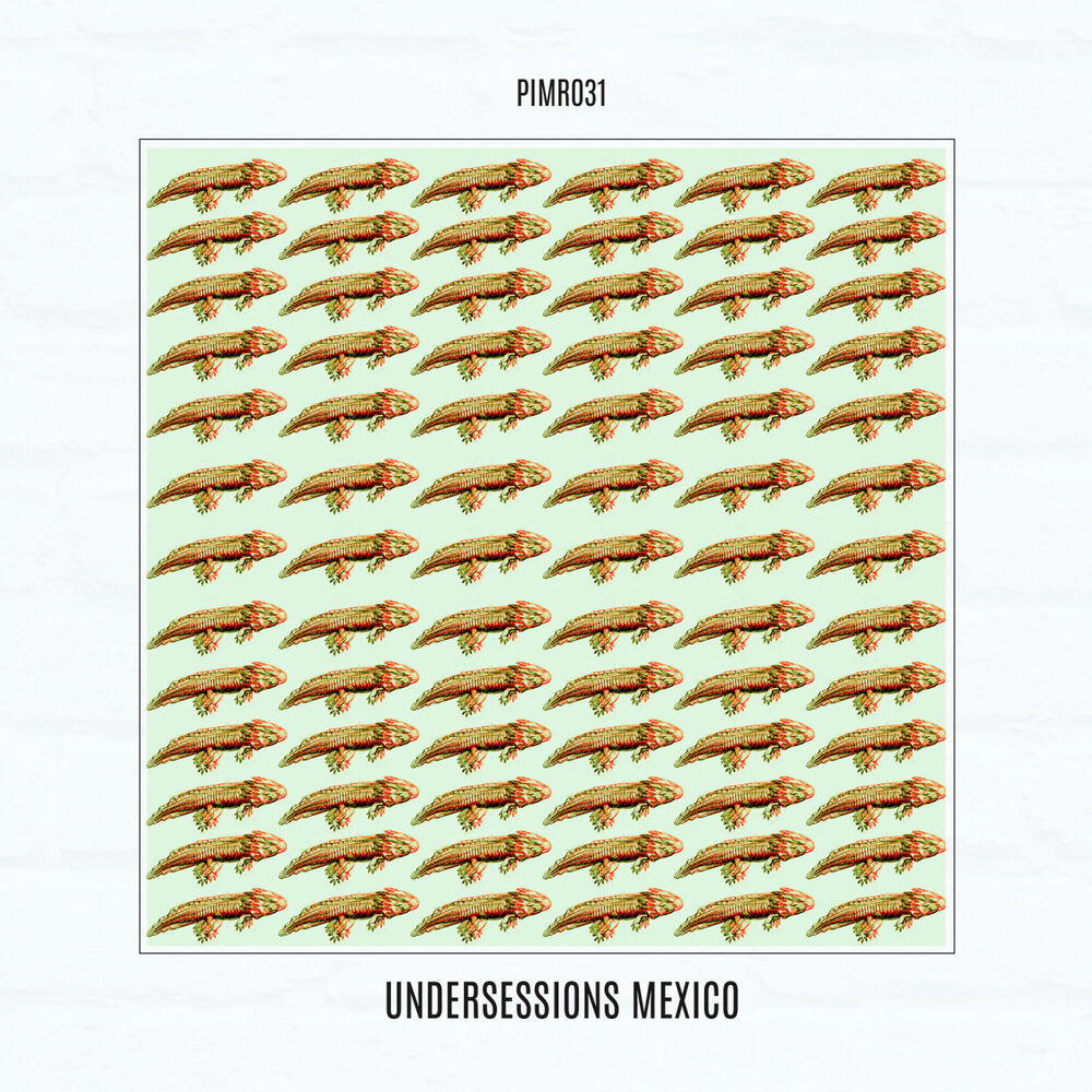 Picture of Undersessions Mexico