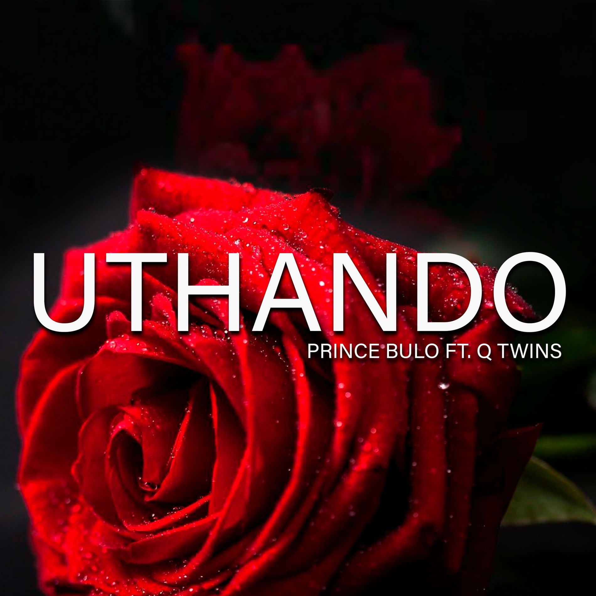 Album cover of Uthando