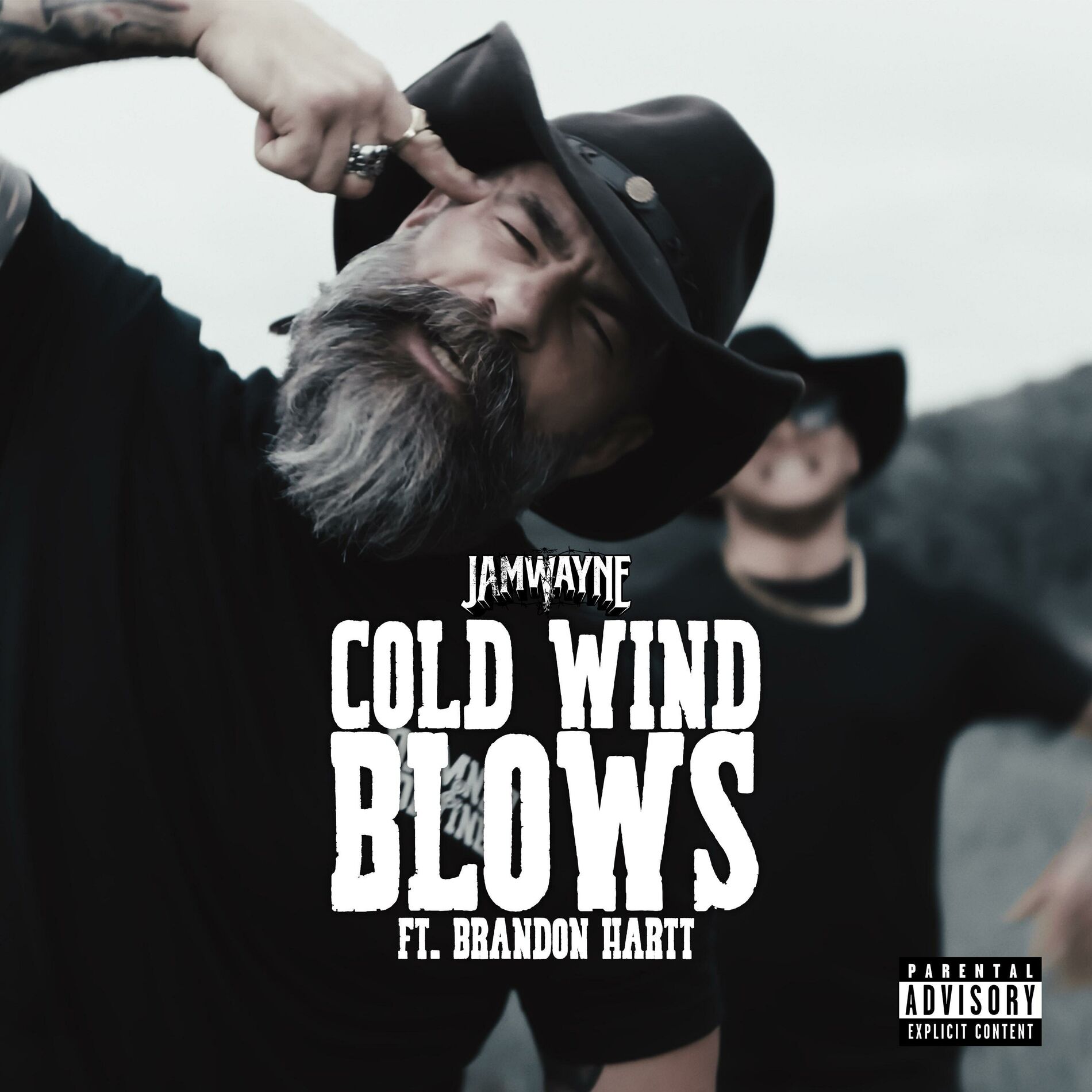 Album cover of Cold Wind Blows (feat. Brandon Hartt)