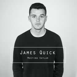 Cover of Meeting Skylar