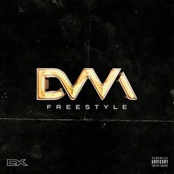 Cover of Freestyle DVM
