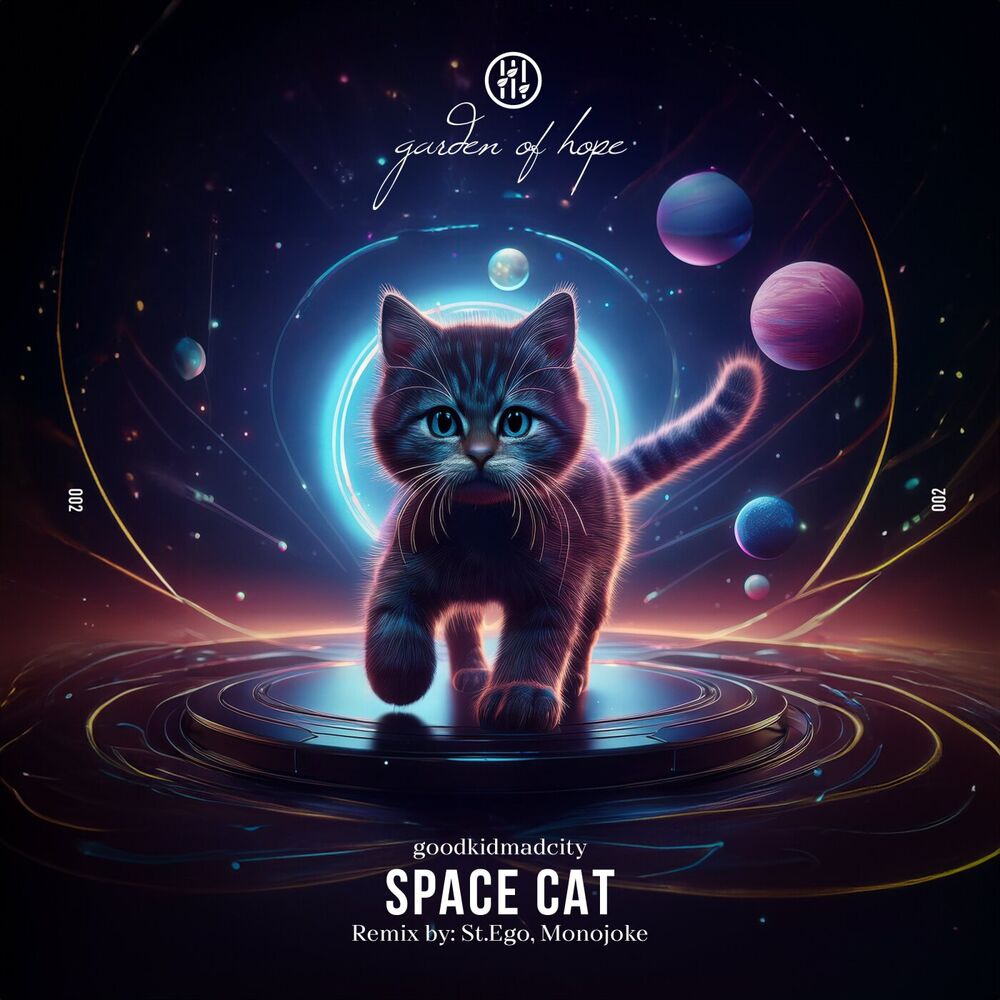 Picture of Space Cat