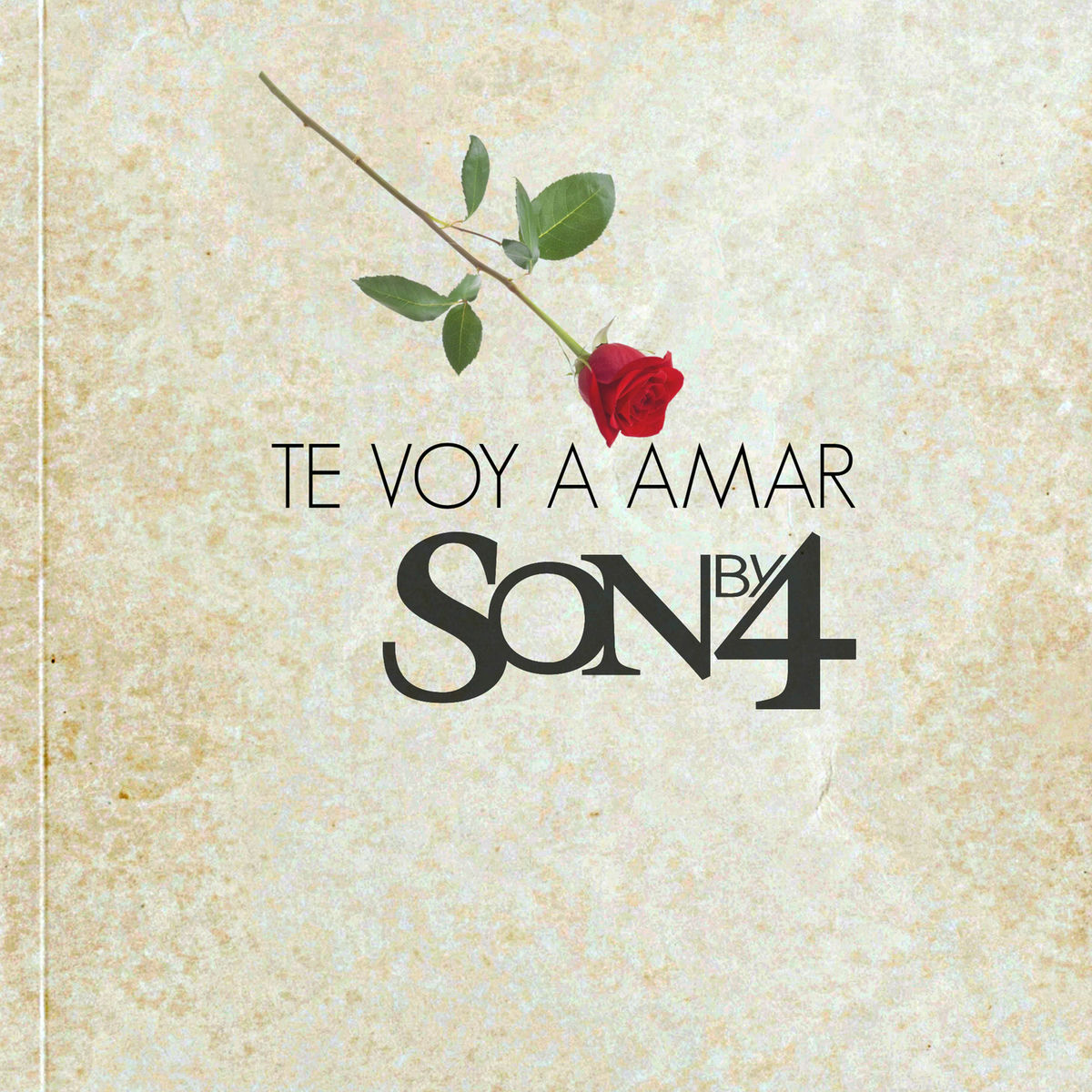 Album cover of Te Voy a Amar (Salsa Version)