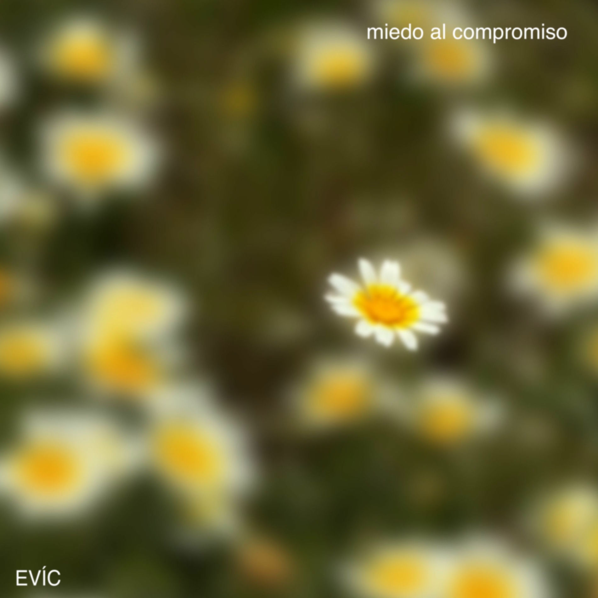 Album cover of miedo al compromiso
