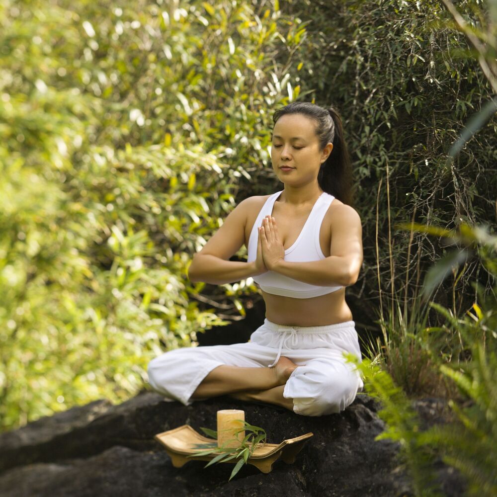 Picture of Nestled in Nature: Blissful Meditation with a Calming Chill