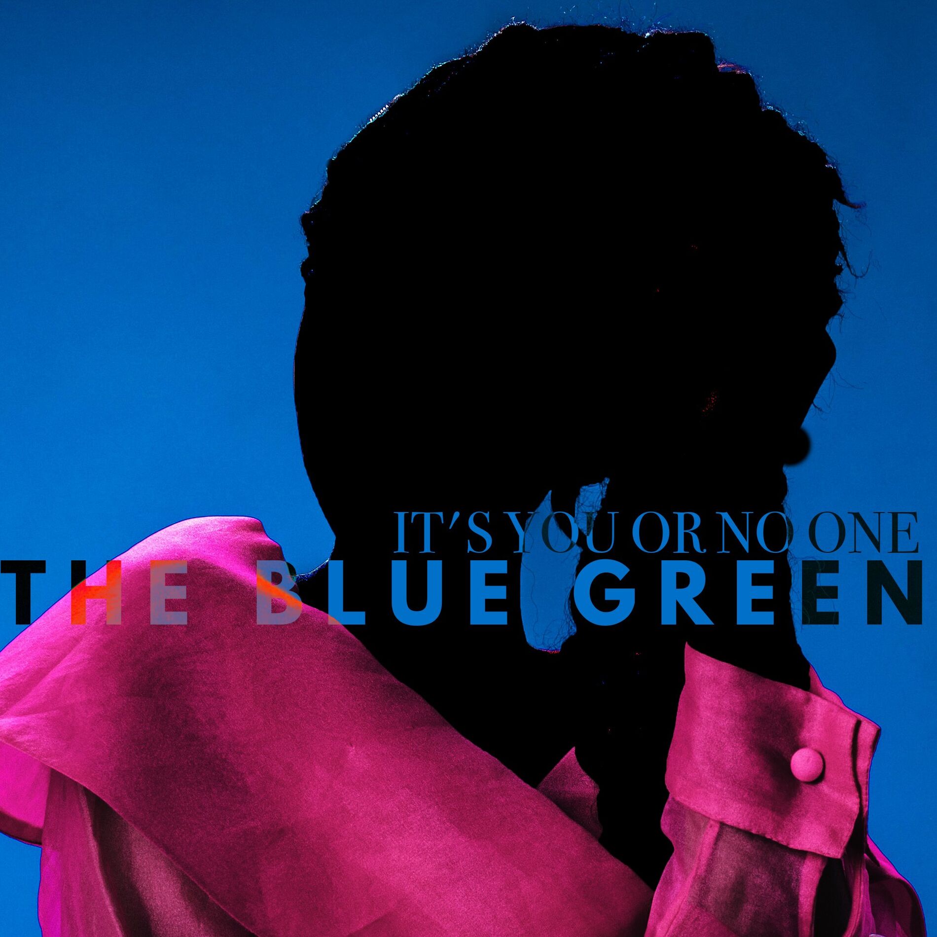 Album cover of It's You Or No One