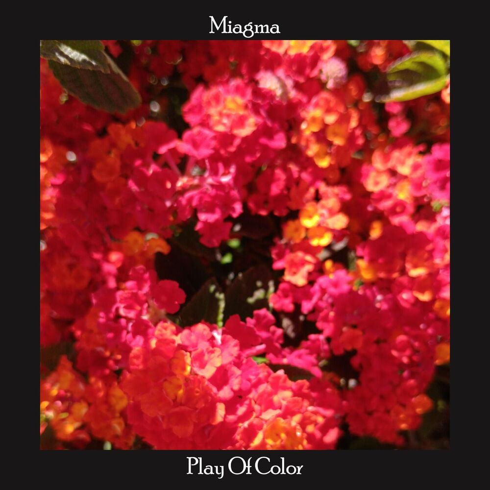Picture of Play Of Color